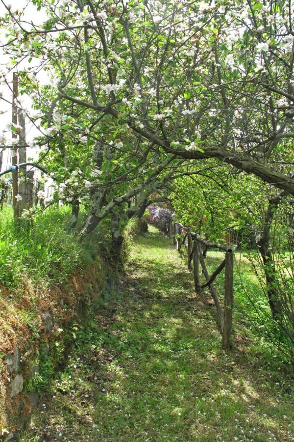 Locazione Turistica Rosolaccio Apartment Bolano Luaran gambar